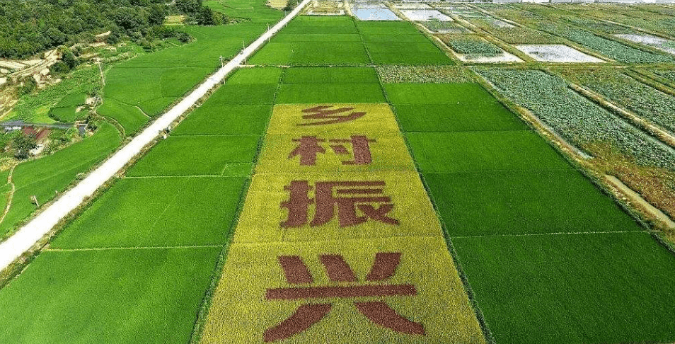 人民日報“鄉(xiāng)村振興計劃”為何看上他？_直播_行業(yè)_農(nóng)產(chǎn)品